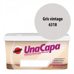 Titán una Capa Gris Vintage 6318 Pintura MATE