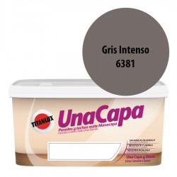 Titán una Capa Gris Intenso 6381 Pintura MATE