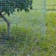 Malla Electrosoldada Galvanizada Luz 6x6 Rollo 1x25 m