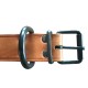 Collar Perro Liso L12 medidas 2,7x50 cm