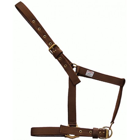 Cabezada nylon novilla