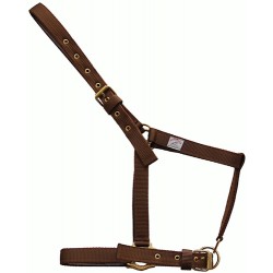 Cabezalla de nylon doble de poni 20