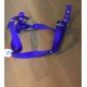 Arnés nylon cinta doble Besant 40/6