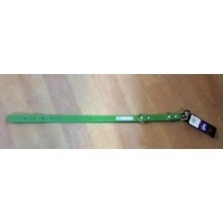 Collar para perro de cuero Biozoo con placa 45cm.