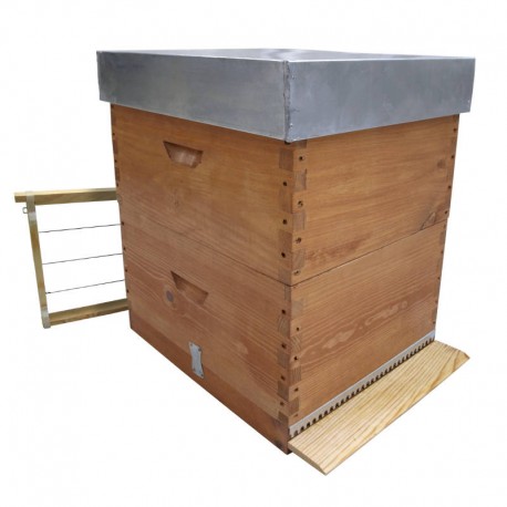 Colmena abejas Langstroth enlazada con alza SIN cera