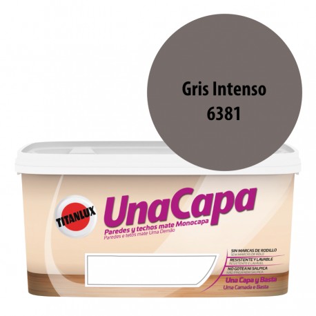 Titan una Capa Gris Intenso 6381 Pintura MATE